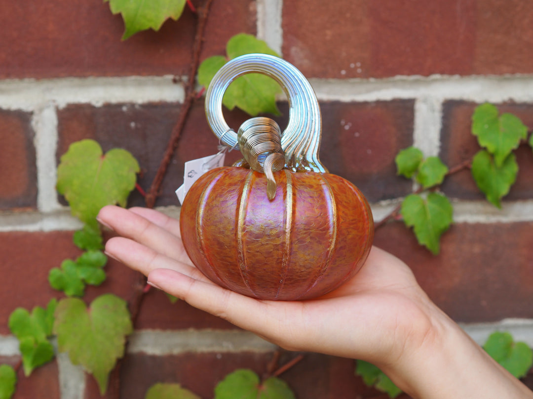 Pumpkin Petite Tilt Sunrise Orange