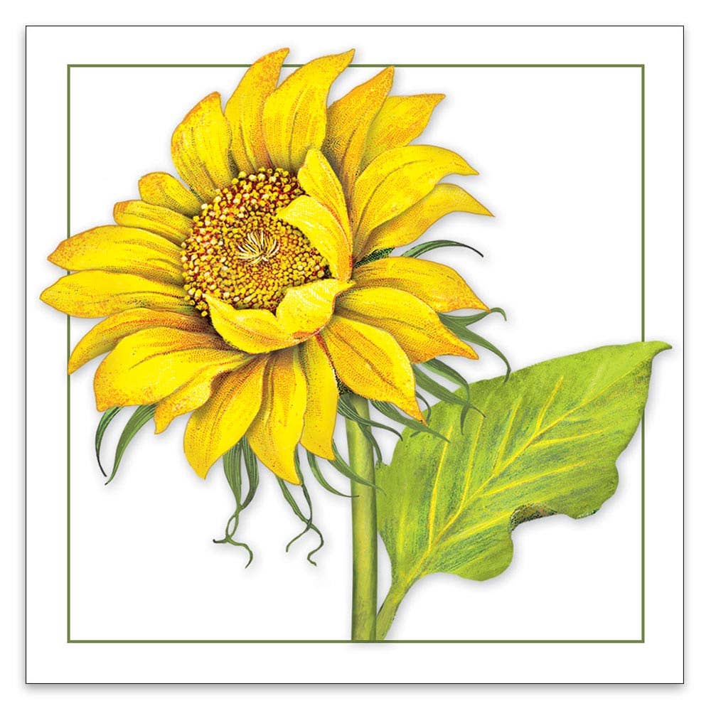 Sunflower MLT427
