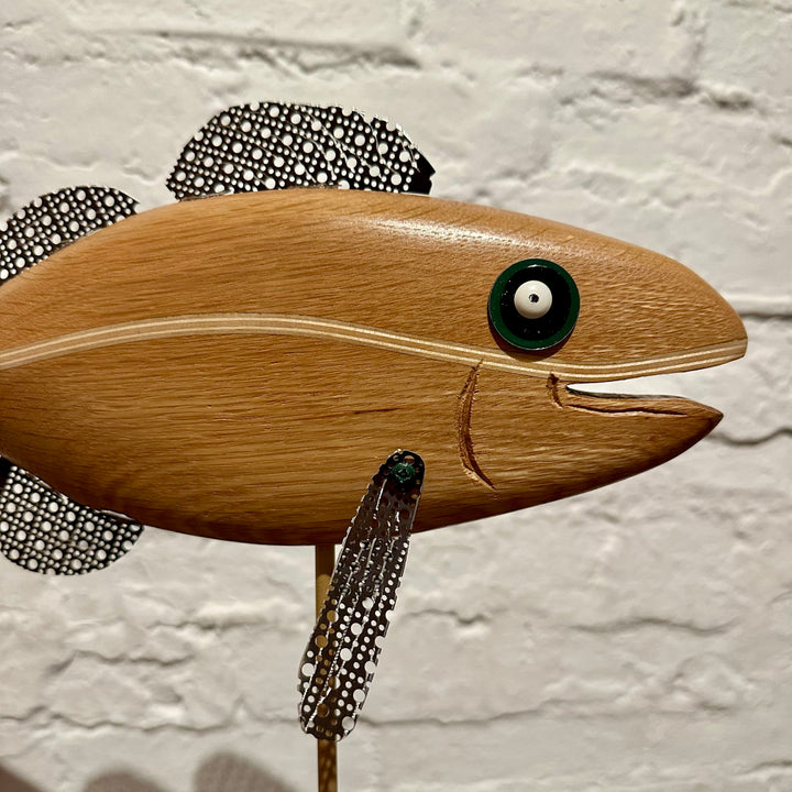 Fish 1