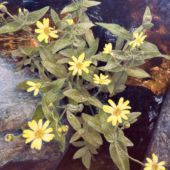 Twin Falls Glacier Lake Montana