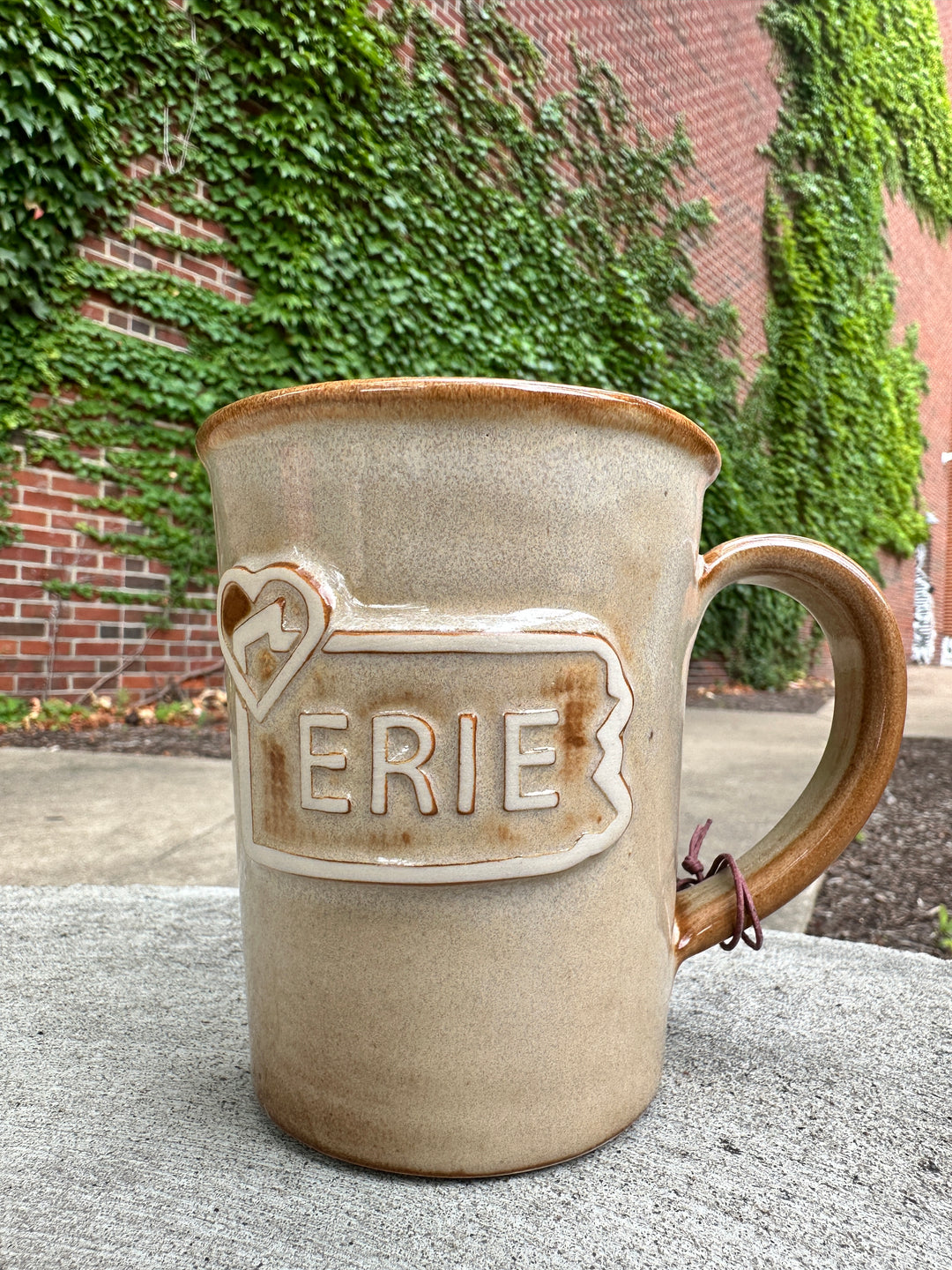 Classic Erie Mug Mountain Canvas
