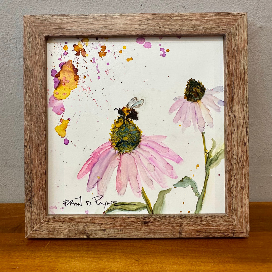 Bumble & Coneflower