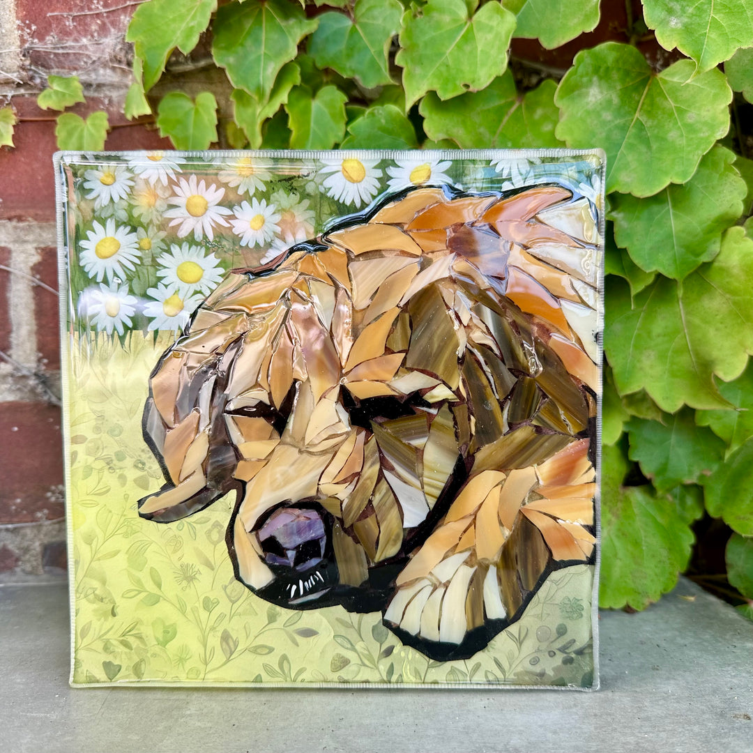Yellow Lab Napping