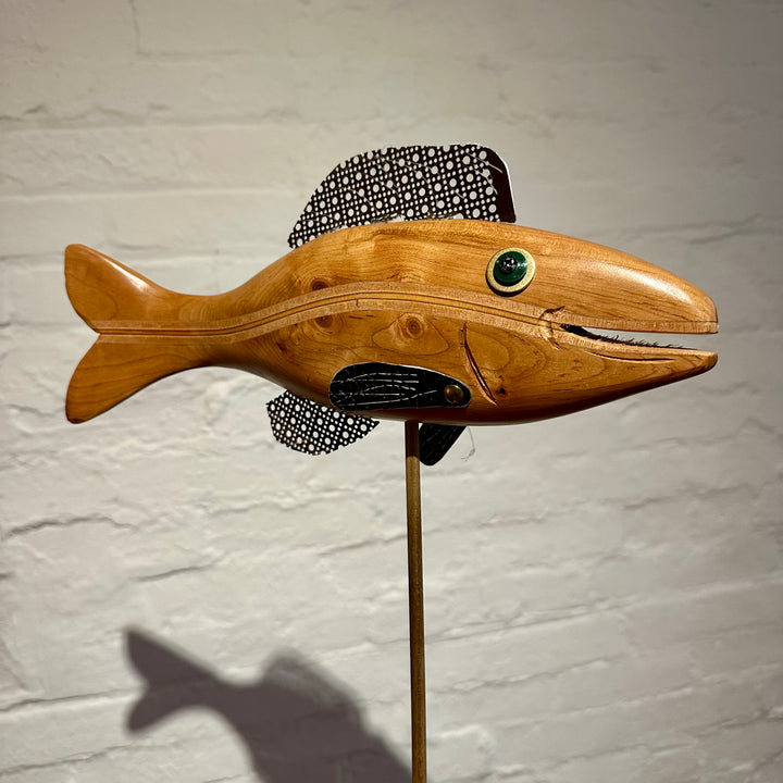 Fish 6