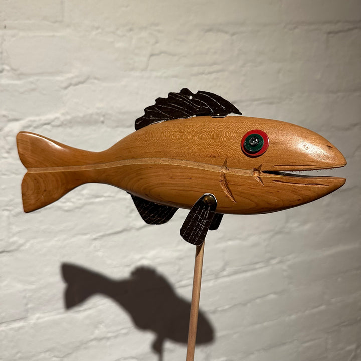 Fish 7