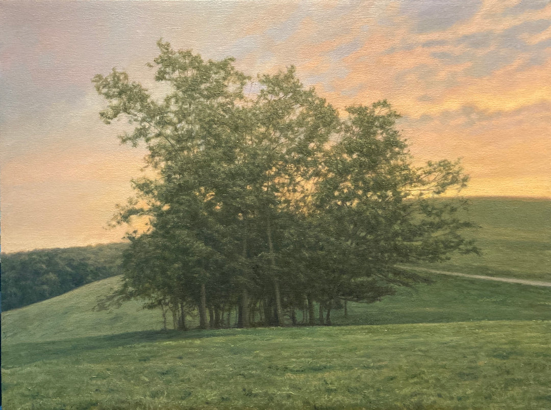 A Gathering of Oaks