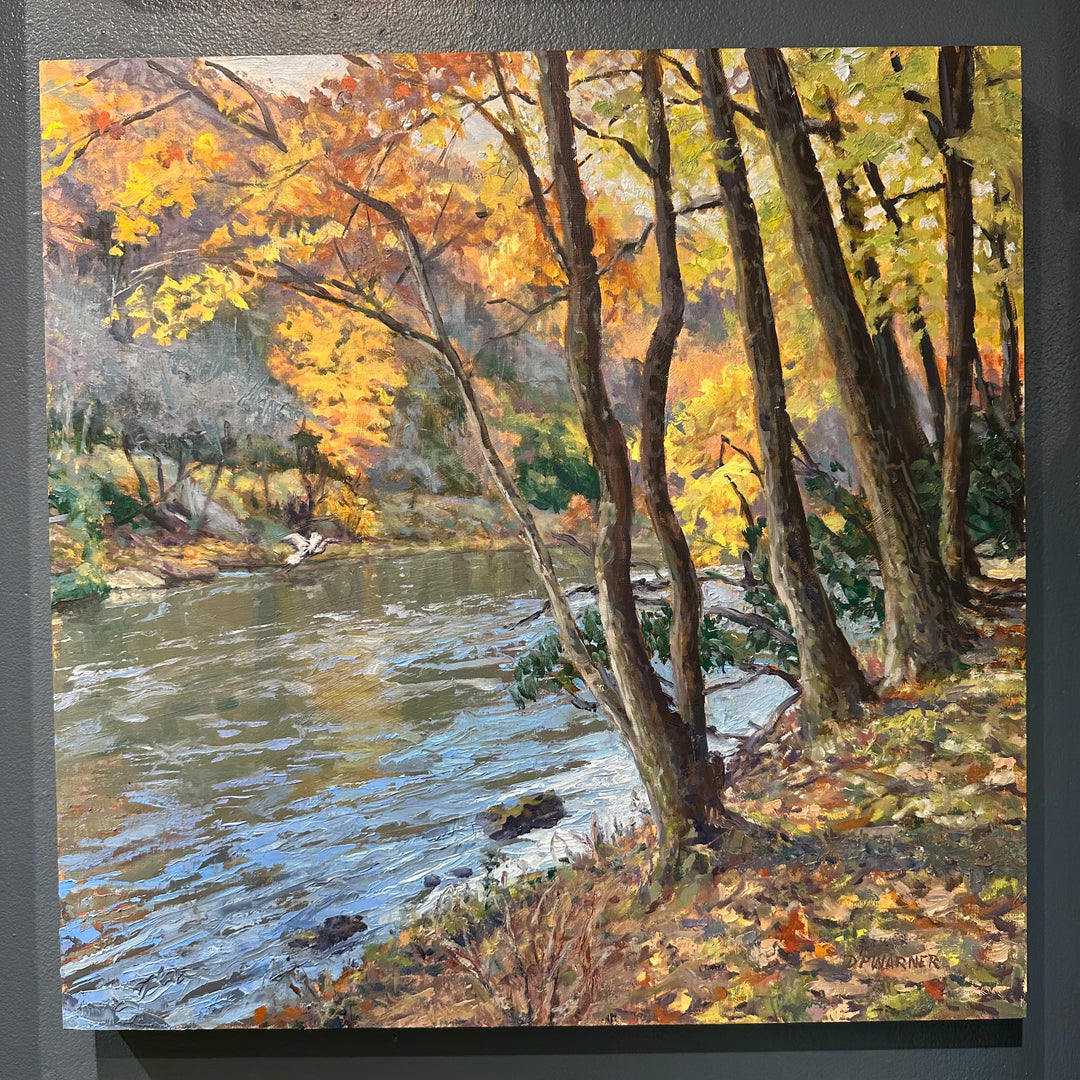 Changing Seasons - D.P. Warner
