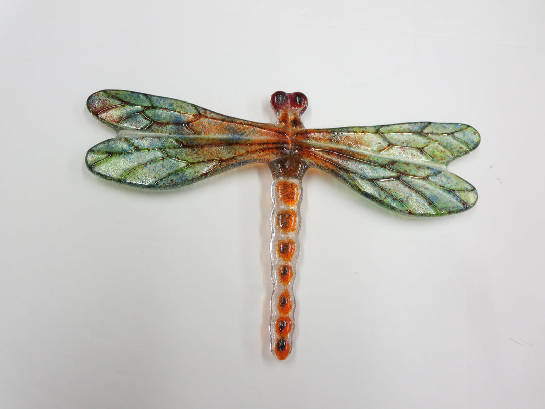 Bug Eye Dragonfly