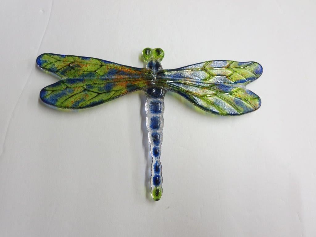 Bug Eye Dragonfly