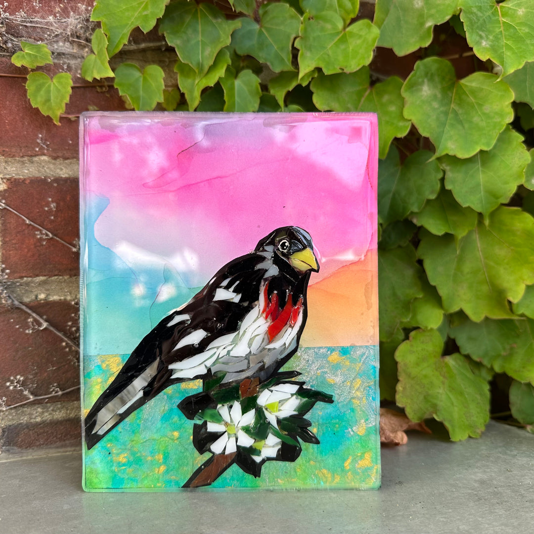 Rose Breasted Grosbeak