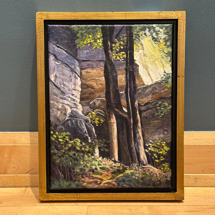 Light in the Forest