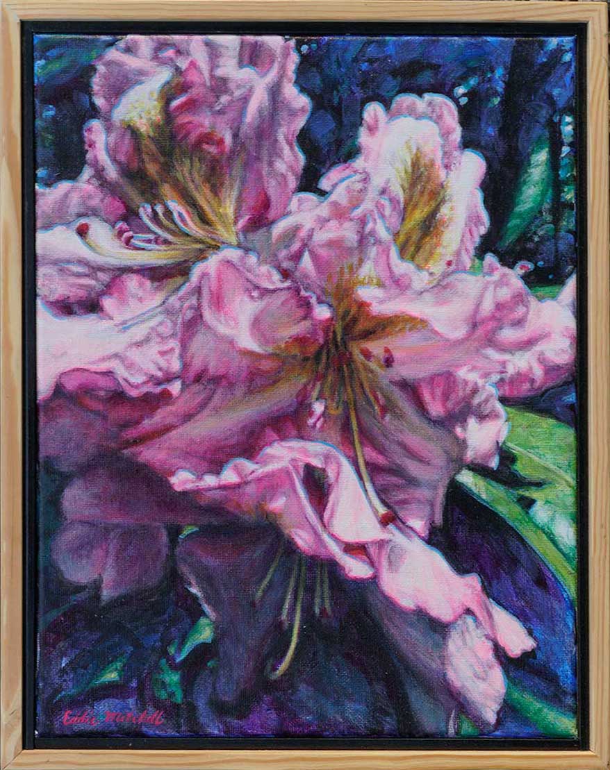 An Alluring Azalea