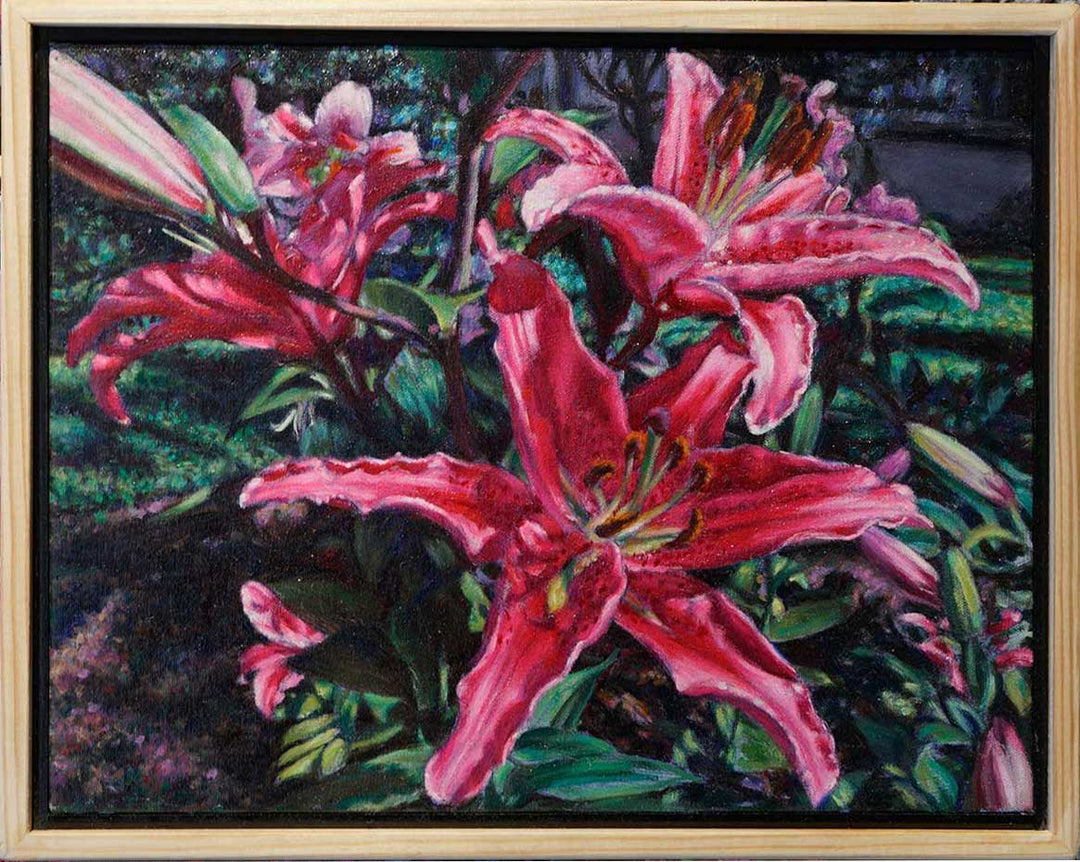 An Audacious Stargazer Display