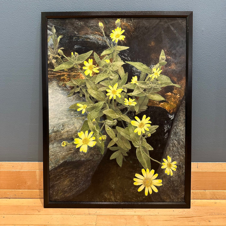 Twin Falls Glacier Lake Montana