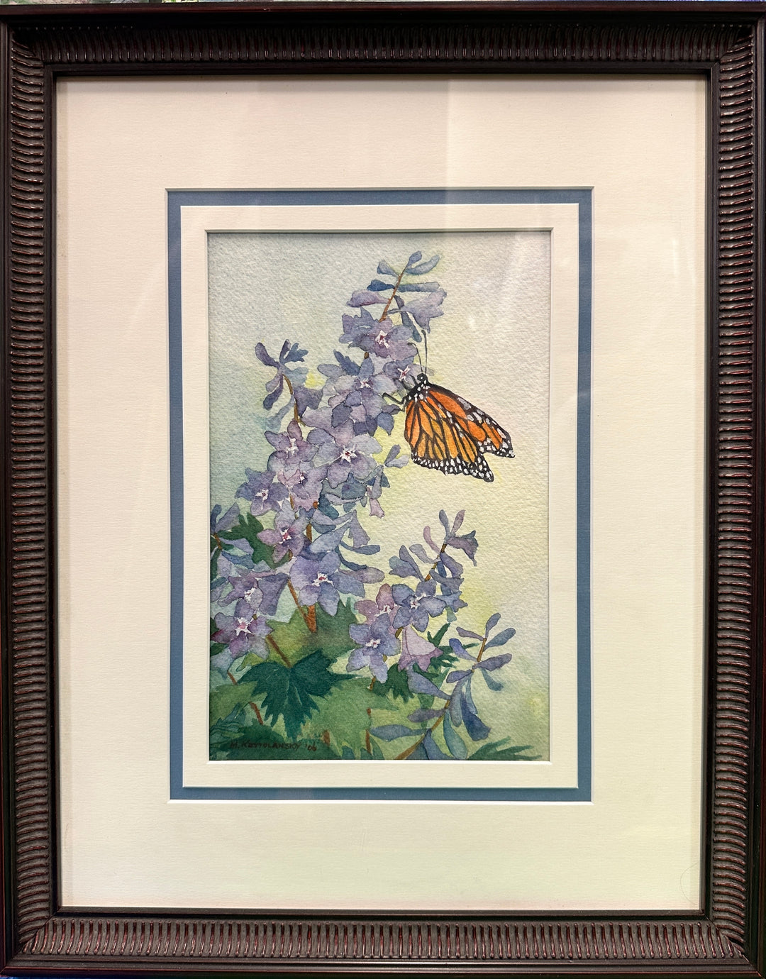 Delphinium Visitor