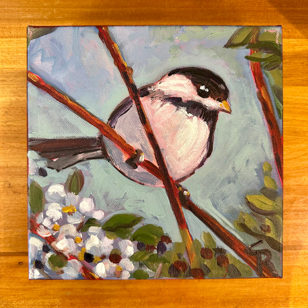 Chickadee