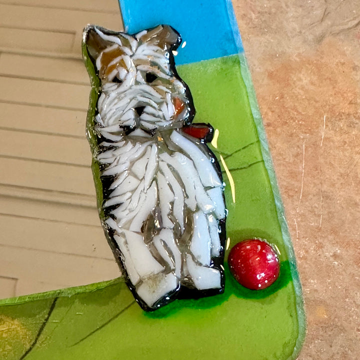 Mirror - Dog + Red Ball