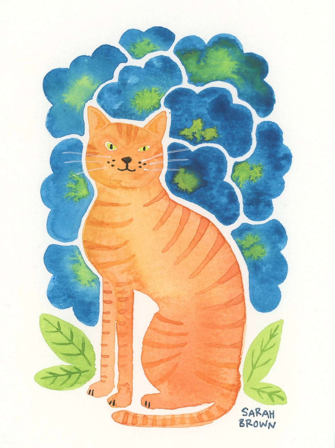 Blue Flower Cat