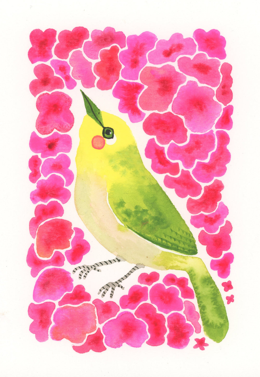 Green Bird