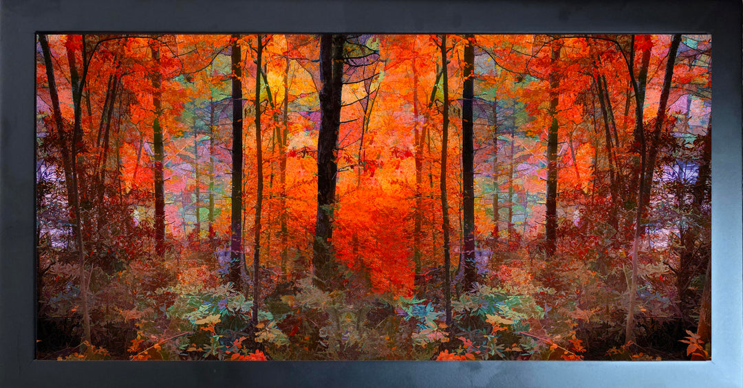 Stained Glass Forest