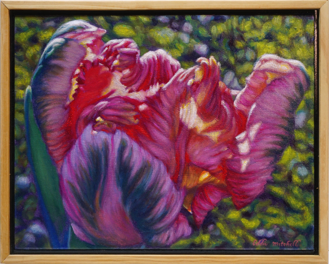 Parrot Tulip Flower in the Sun
