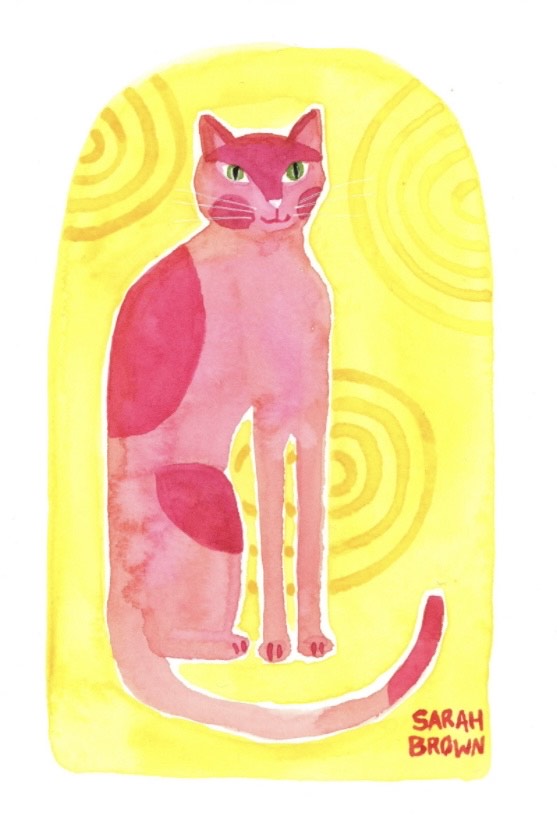 Pink Cat