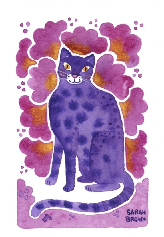 Purple Cat