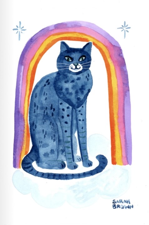 Rainbow Cat