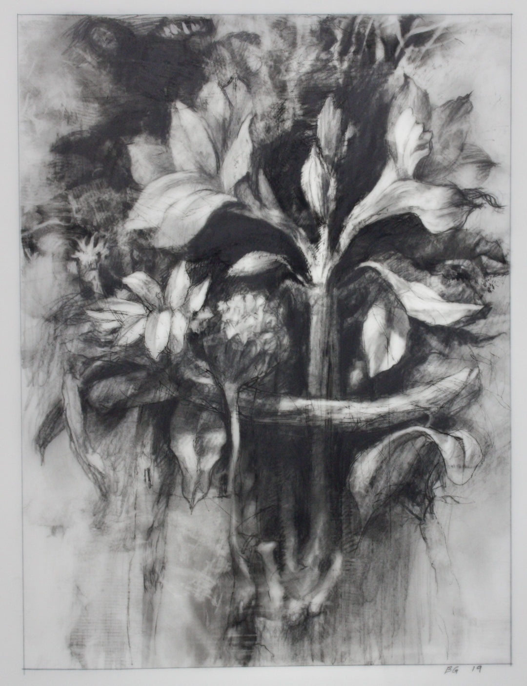 Hortus