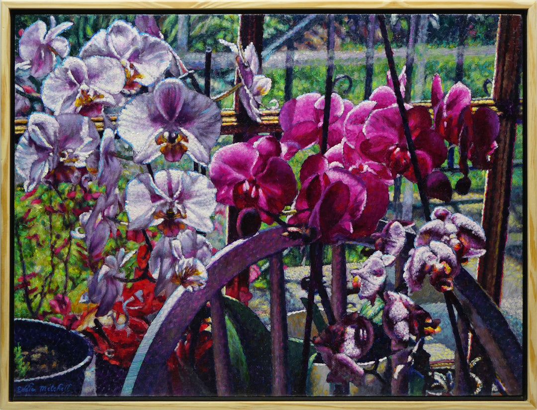 Outlandishly Opulent Orchids