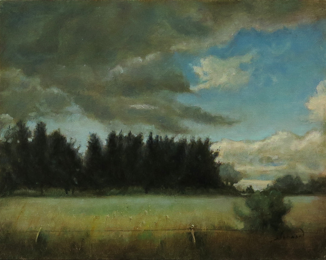Somber Sky