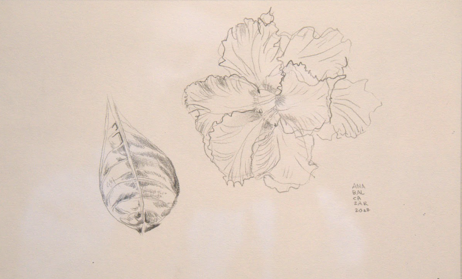 Graphite Drawing 4