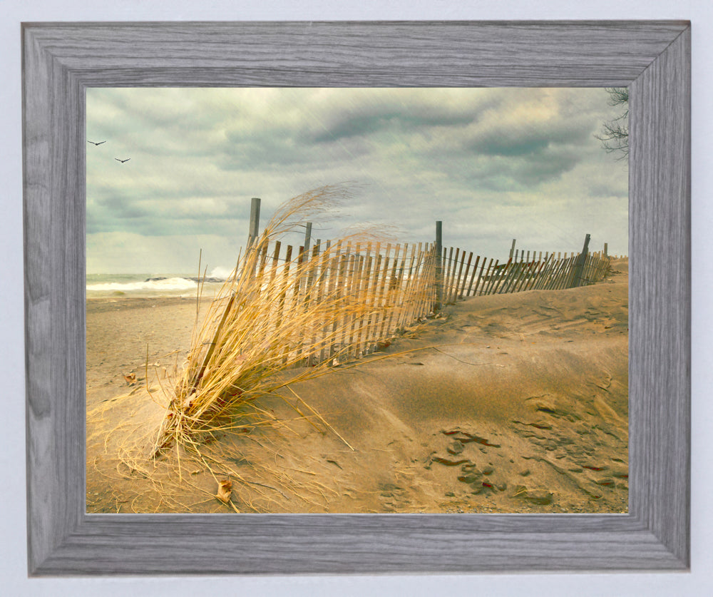 Beach Dreams