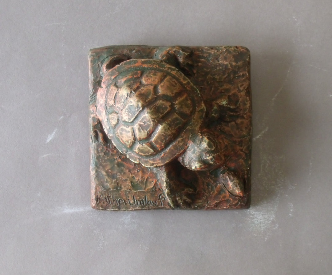 Baby Turtle