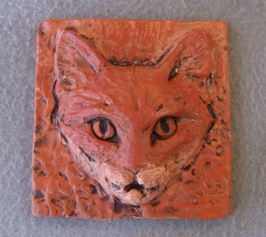 Scared Cat