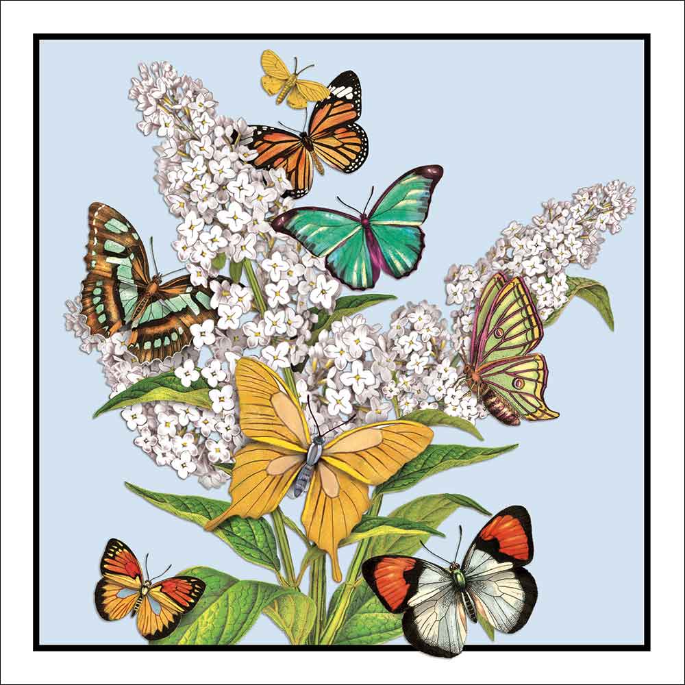 Butterflies MLT439