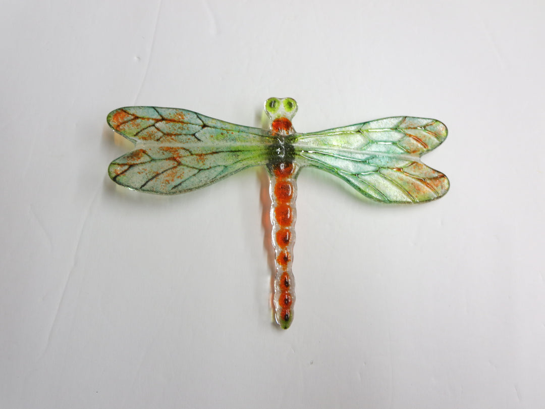 Bug Eyed Dragonfly