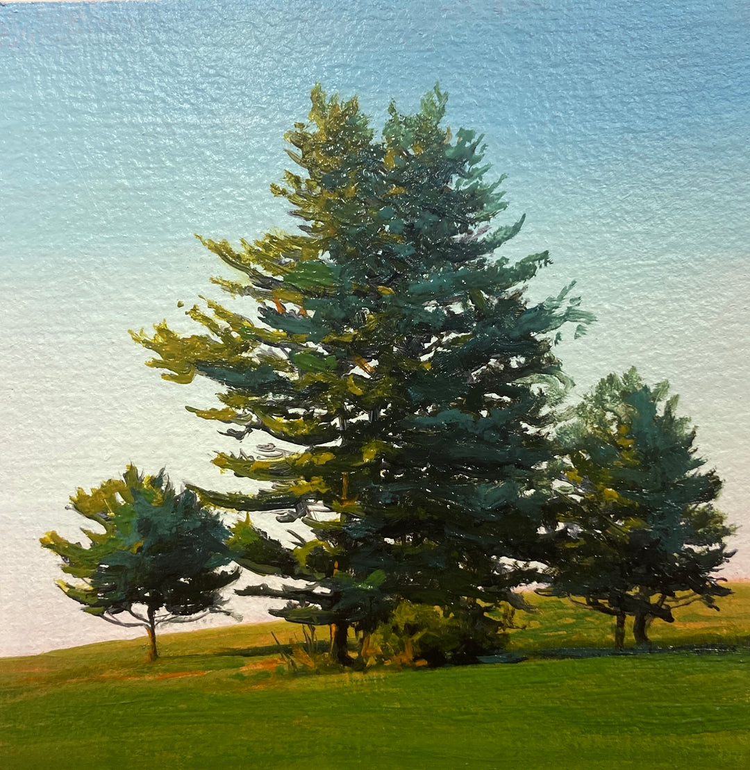 Pines on Hillside