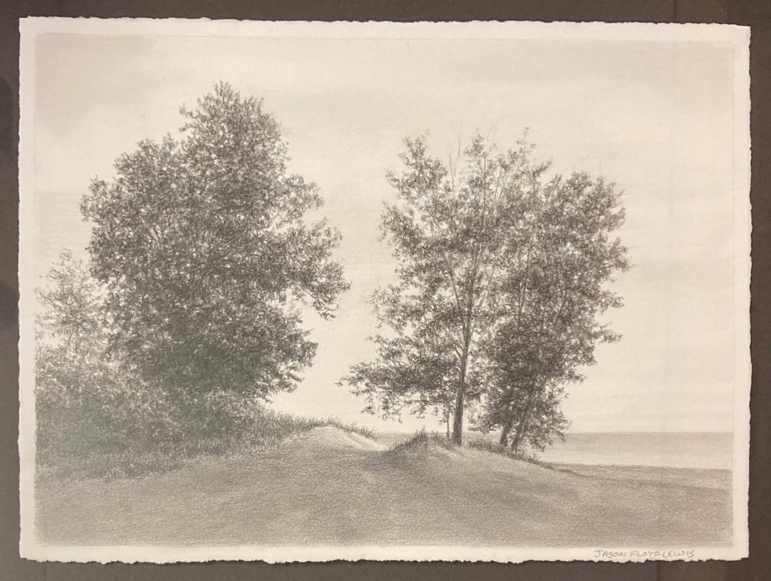 Trees Beside the Beach