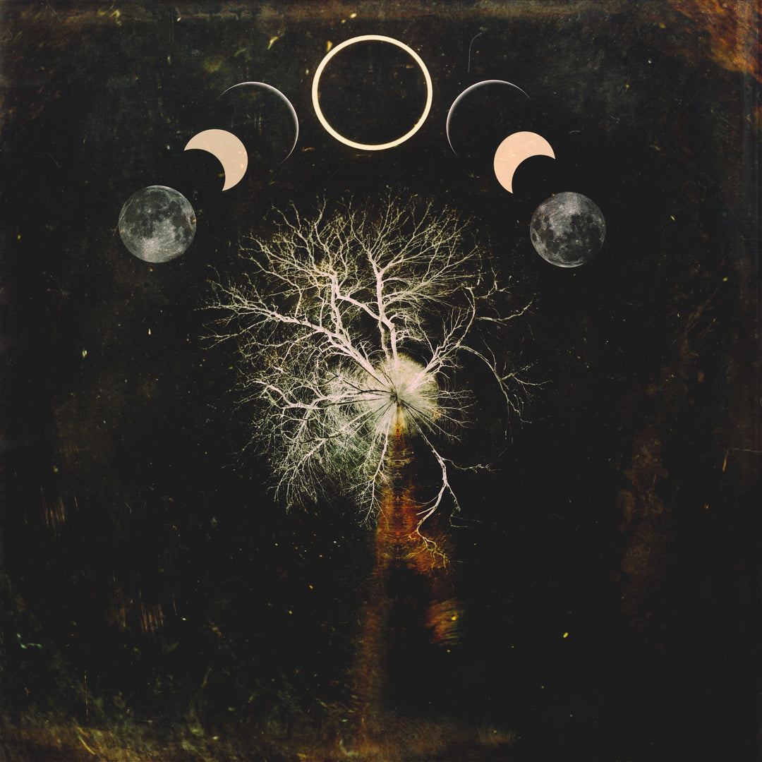 Special Edition: Circle Trees Eclipse (Unframed Print)