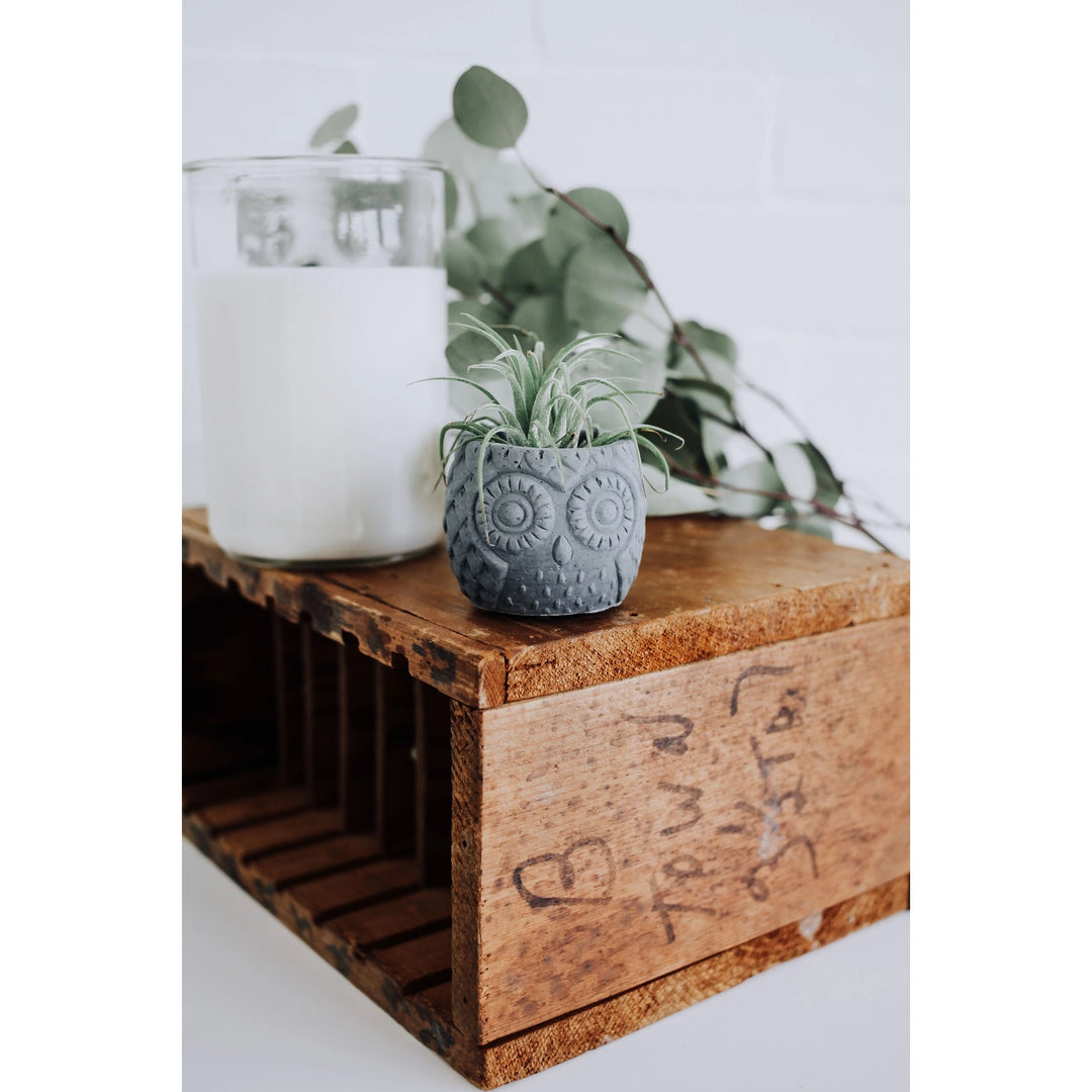 Concrete Owl Planter Grey