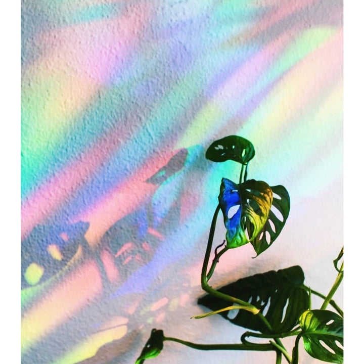 Suncatcher Decal - Mason Jar Camp Scene