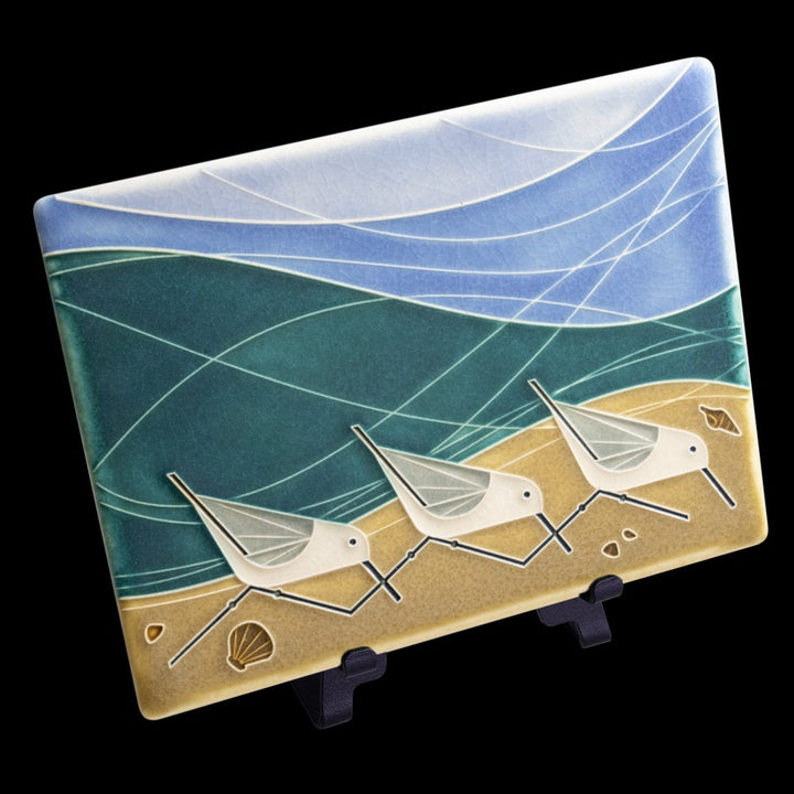 Beach Birds Sand