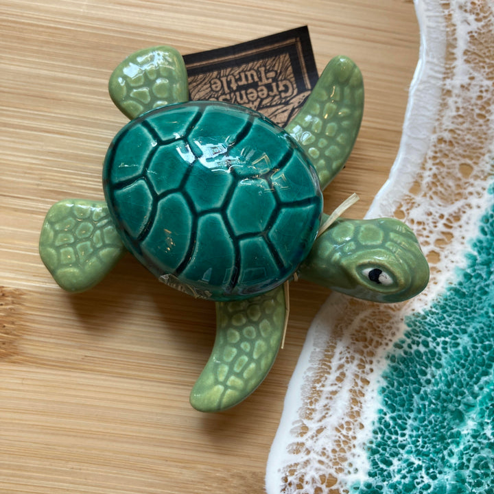 Box Sea Turtle Green Small