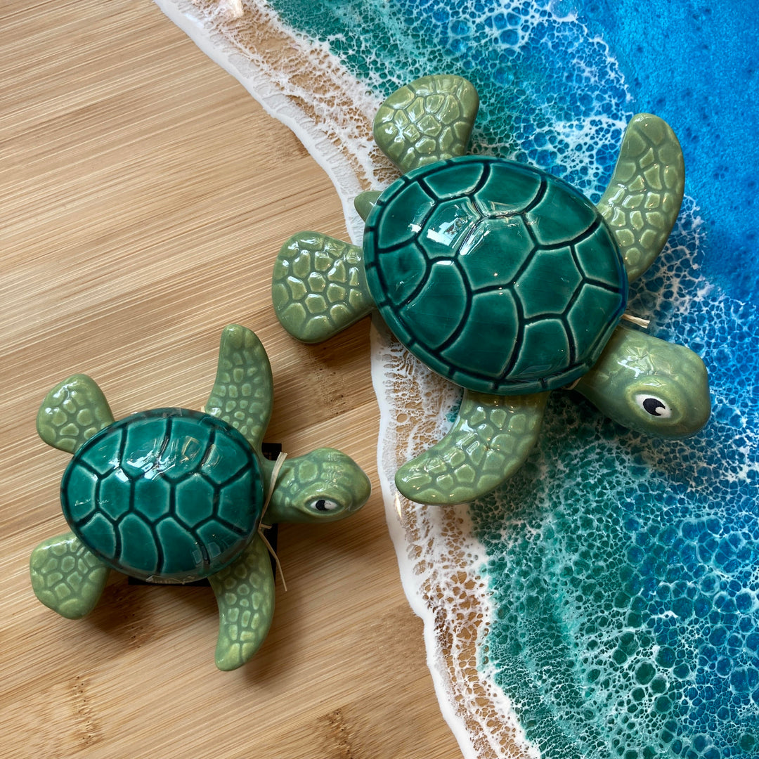 Box Sea Turtle Green Small