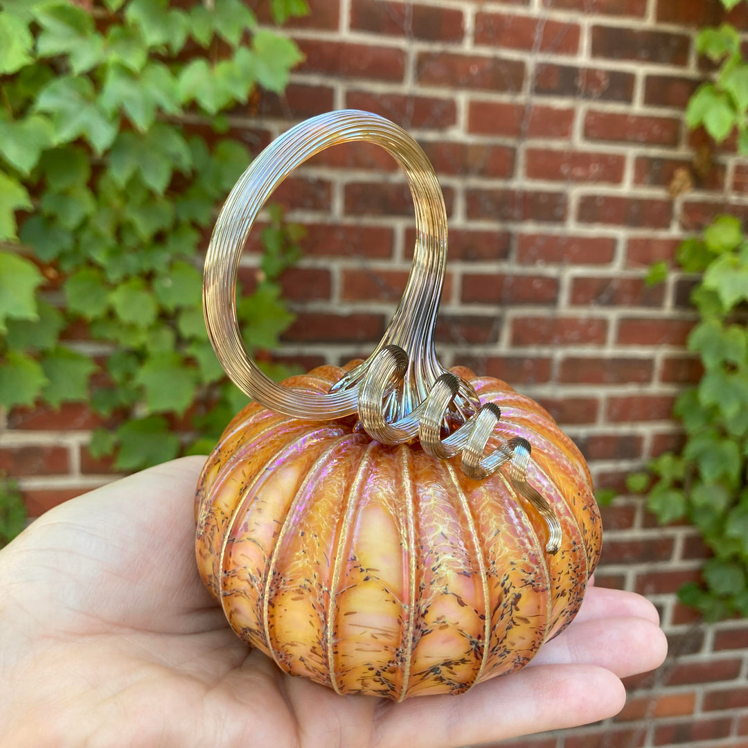 Pumpkin Small Upright Maple