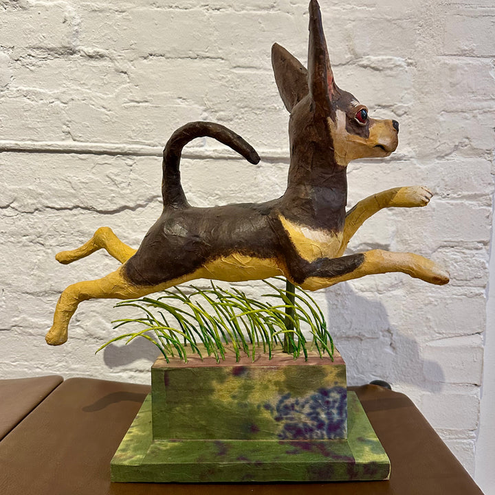 Chihuahua