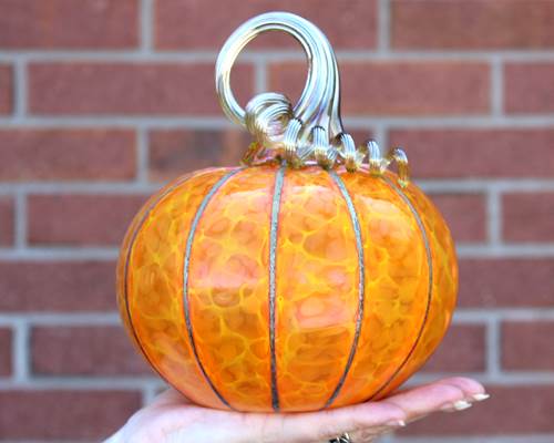 Pumpkin Medium Sungold Yellow