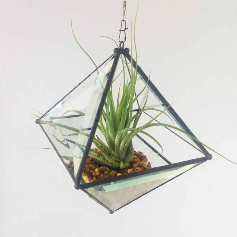 Hanging Pyramid Terrarium Clear