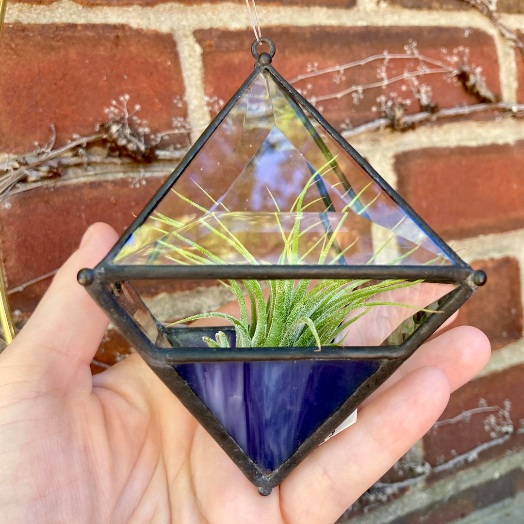 Hanging Pyramid Terrarium Purple